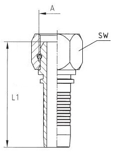 bsp 0