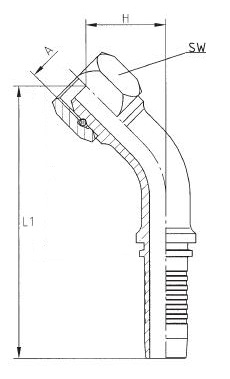 bsp 45